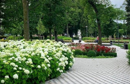 Zakładanie ogrodów Poznań