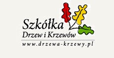 Szkółka Drzew i Krzewów Janusz Szyca