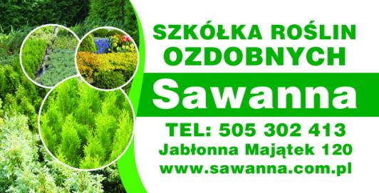 Sawanna